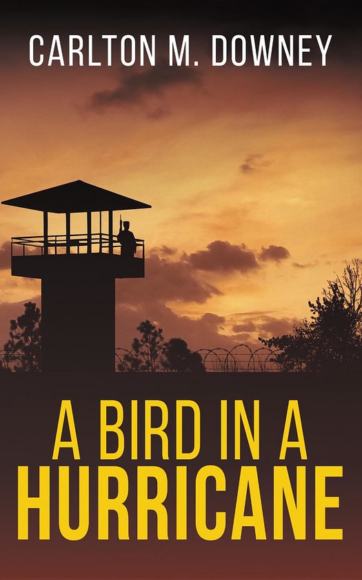 A Bird in a Hurricane - cover