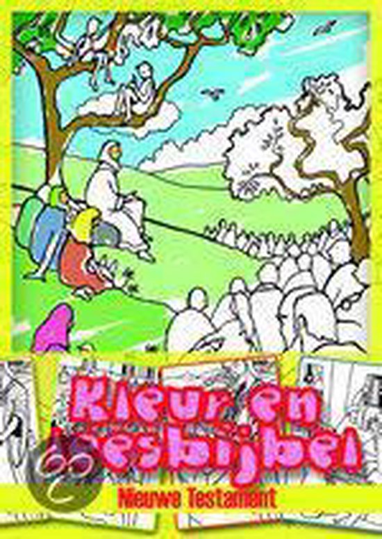 Cover van het boek 'Kleur en Leesbijbel' van Renske Huisman
