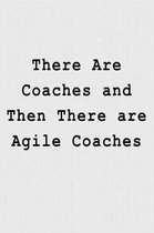 There Are Coaches and Then There Are Agile Coaches