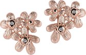 Orphelia Oorbel Rose Zirconium Sterling Zilver 925