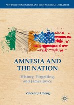 New Directions in Irish and Irish American Literature - Amnesia and the Nation
