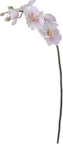 House615 - Orchideëentak - Orchidee - Phaleanopsis - Kunstbloem - Zijde bloem