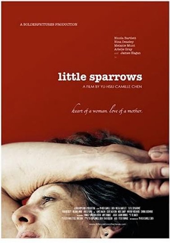 Cover van de film 'Little Sparrows'