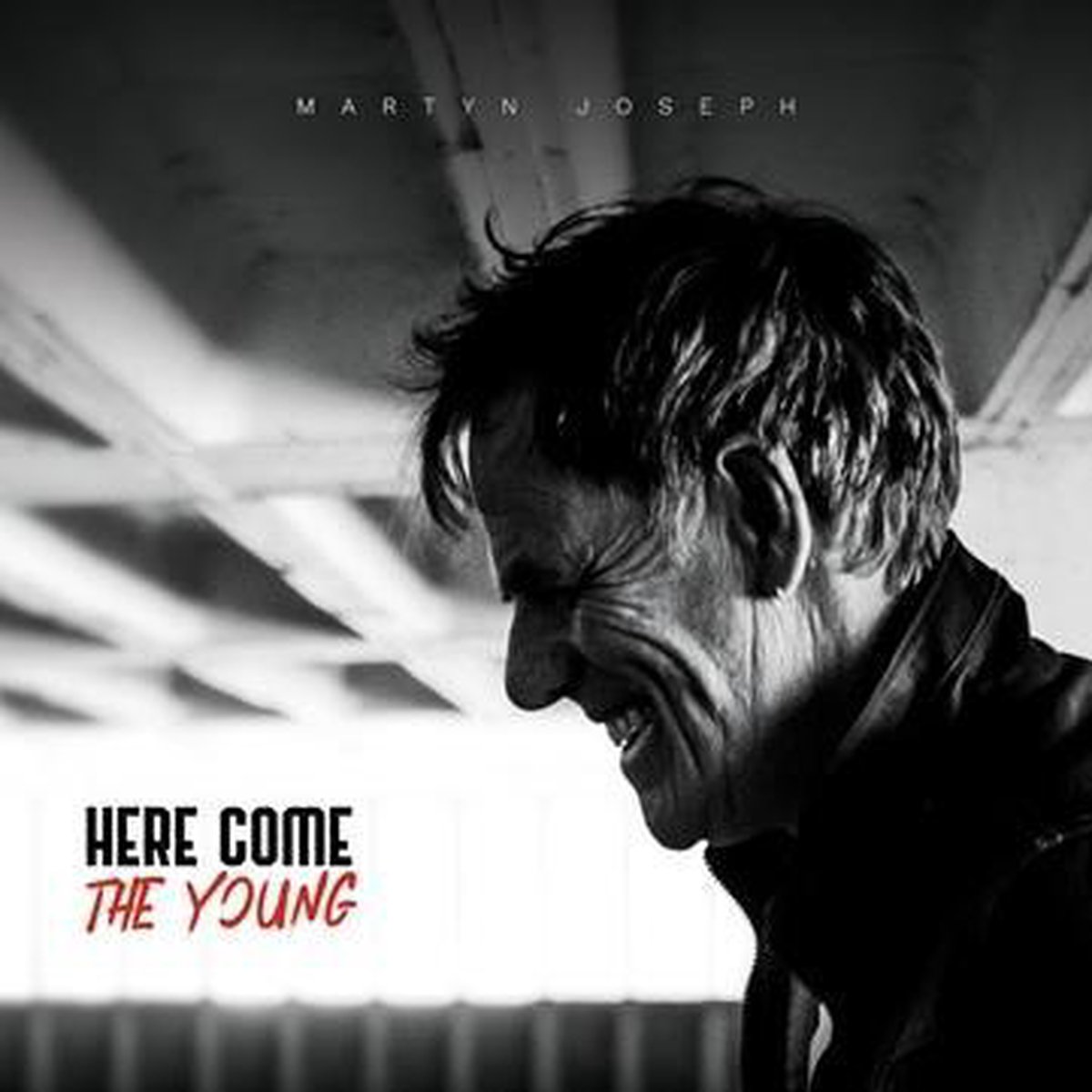 Here Come The Young - Martyn Joseph