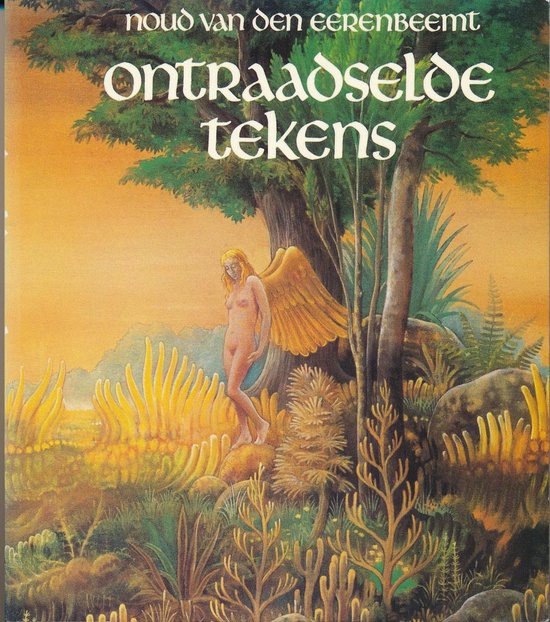 9789074358033 - Ontraadselde Tekens