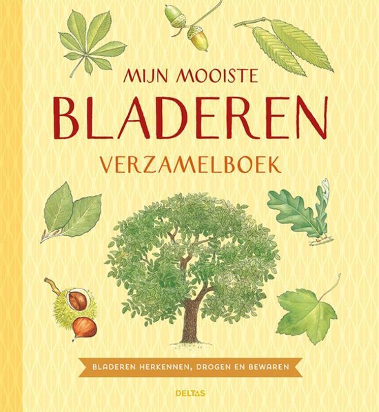 Mijn mooiste bladeren verzamelboek