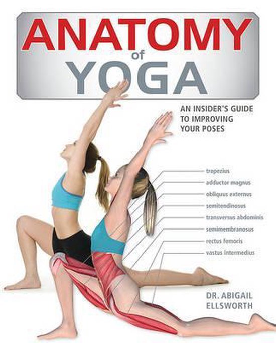 Anatomie van Yoga: Een Gids