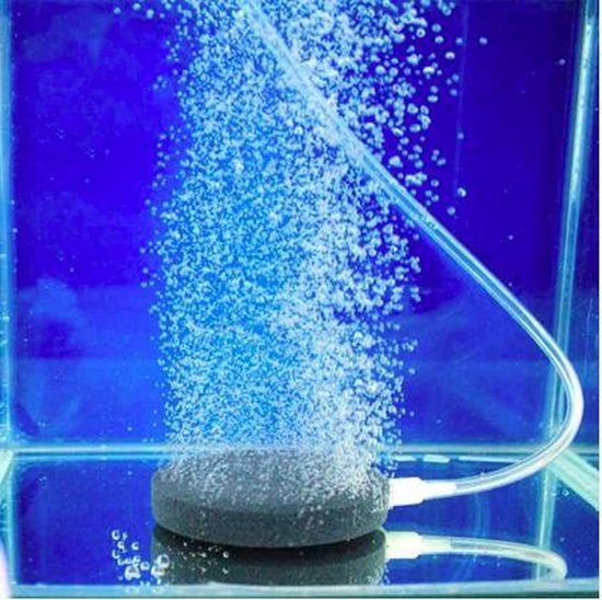 Mineral Oxygen Luchtsteen - Zuurfstofsteen - Aquarium Beluchting - Merkloos