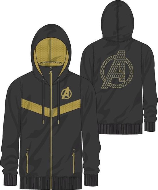 | Avengers Infinity War Avengers Team Hoodie L Bestel een Avengers Infinity War Avengers Team trui op