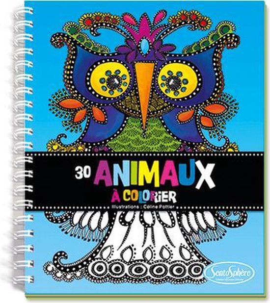 Masques Animaux Marins à Colorier - Lot De 16 Masques + Marqueurs - Activité Enfant DIY Océan