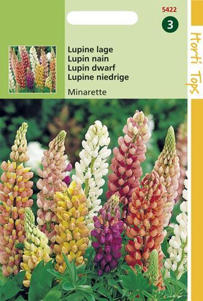 Hortitops Lupine Bloemzaad - Russell's Minarette - Gemengd