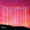 Brand New Day (LP)