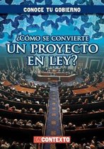 ?Como Se Convierte Un Proyecto En Ley? (How Does a Bill Become a Law?)