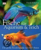 Fische für Aquarium & Teich