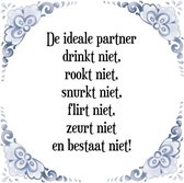 Tegeltje met Spreuk (Tegeltjeswijsheid): De ideale partner drinkt niet, rookt niet, snurkt niet, flirt niet, zeurt niet en bestaat niet! + Kado verpakking & Plakhanger