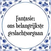 Tegeltje met Spreuk (Tegeltjeswijsheid): Fantasie; ons belangrijkste geslachtsorgaan + Kado verpakking & Plakhanger