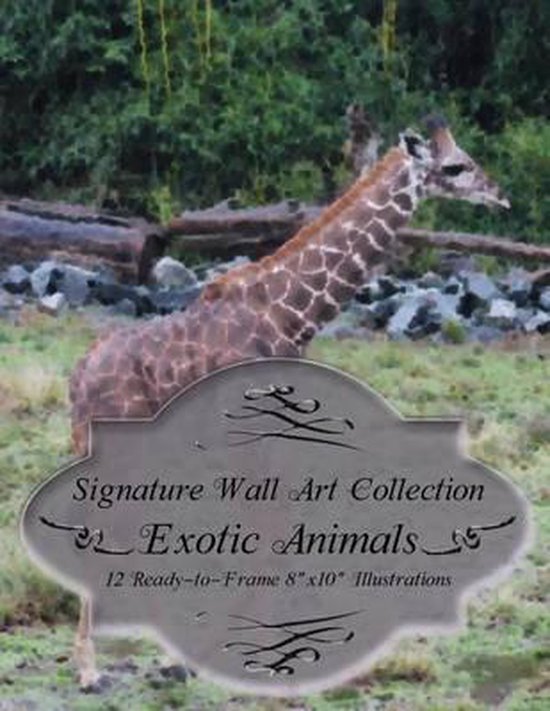 Signature Wall Art Collection - cover