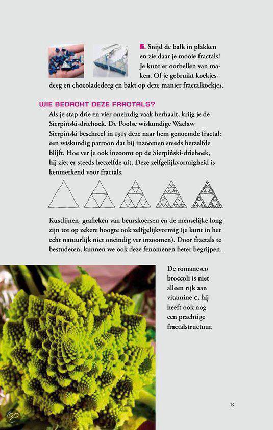 Drie foto's: kristallen, oorbellen en een close-up van romanesco. Daaronder een uitleg over fractals met tekeningen.