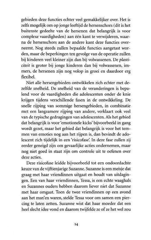 Het puberende brein