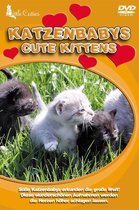 Katzenbabys-Little Cuties