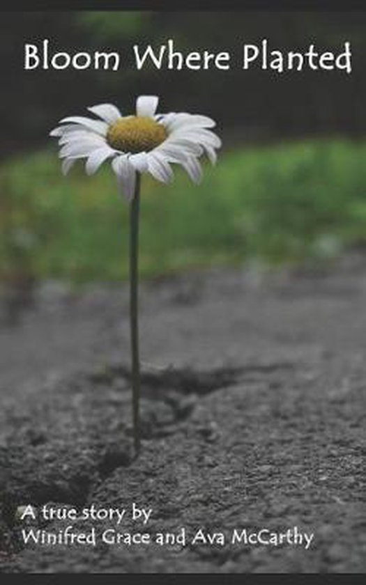 Bloom Where Planted - cover