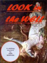Look In The Well