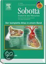 Sobotta - Anatomie des Menschen