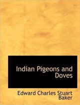 Indian Pigeons and Doves