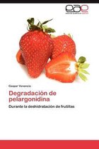 Degradacion de Pelargonidina