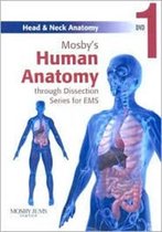 Head & Neck Anatomy
