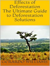 Effects of Deforestation: The Ultimate Guide to Deforestation Solutions