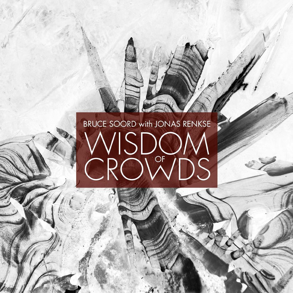 Bruce Soord - Wisdom Of Crowds