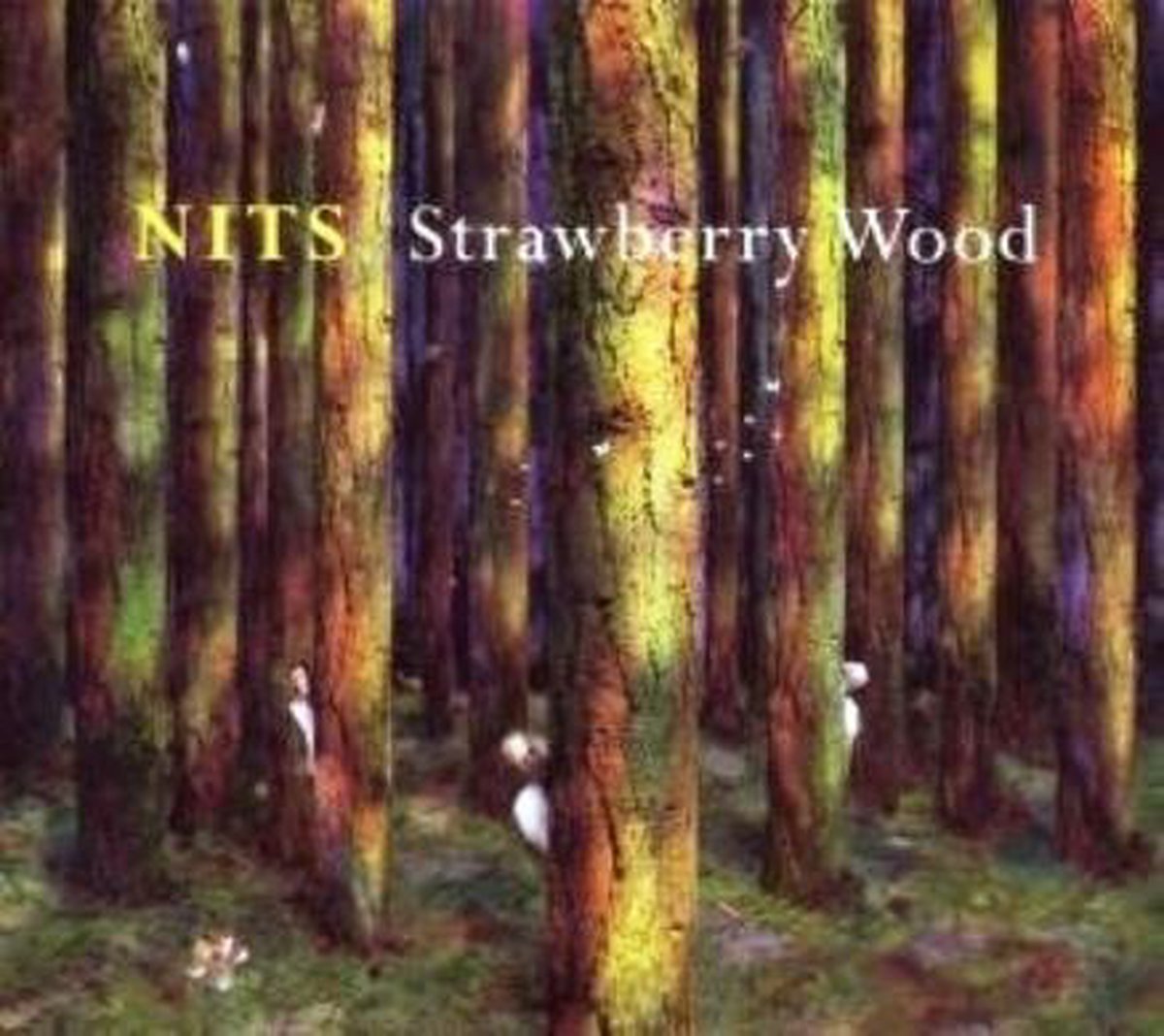 Strawberry Wood