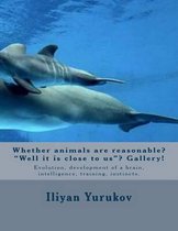 Whether animals are reasonable?  Well it is close to us ? Gallery!