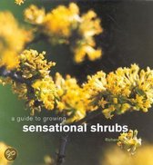 A Guide To Growing Sensational Shrubs