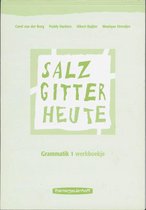 Salzgitter Heute / 1 Werkboek / Deel Grammatik