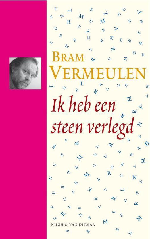 Cover van het boek 'Ik heb een steen verlegd' van Bram Vermeulen
