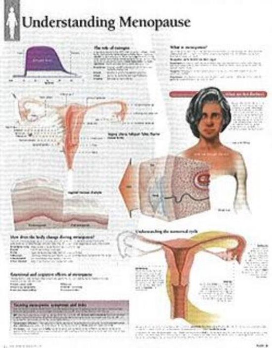 Foto: Understanding menopause laminated poster