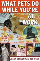 What Pets Do While You're at Work
