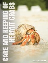 Your Hermit Crab