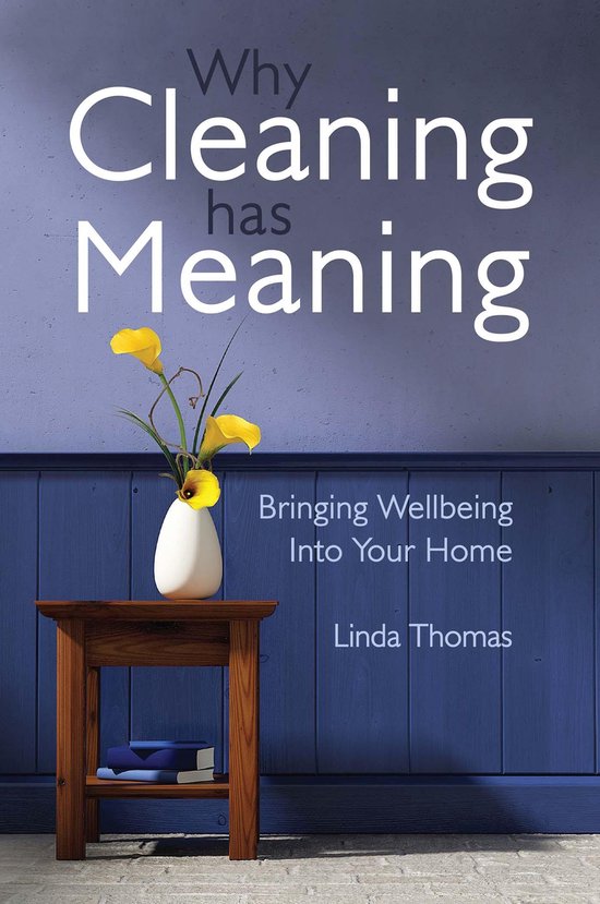 Why Cleaning Has Meaning - cover