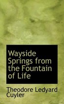 Wayside Springs from the Fountain of Life