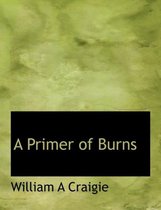 A Primer of Burns