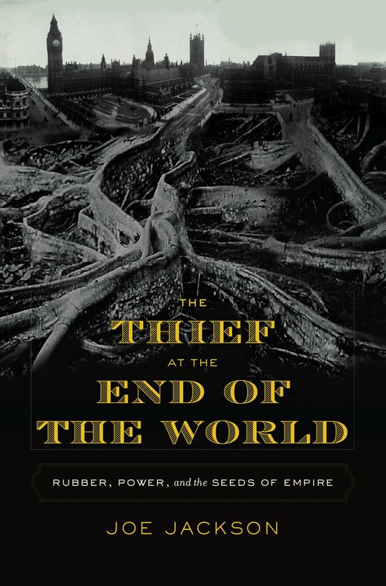 The Thief at the End of the World - cover