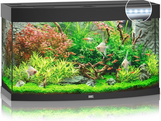 Juwel Vision 180 LED Aquarium - Zwart - 180L - 92 x 41 x 55 cm