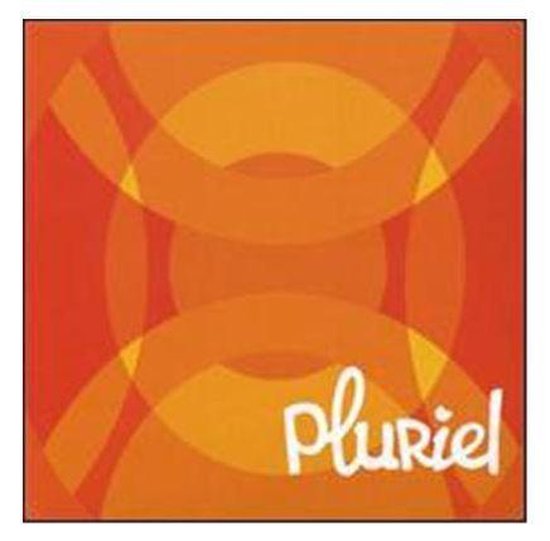 Pluriel, various artists CD (album) Muziek bol