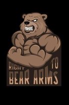 Right to Bear Arms