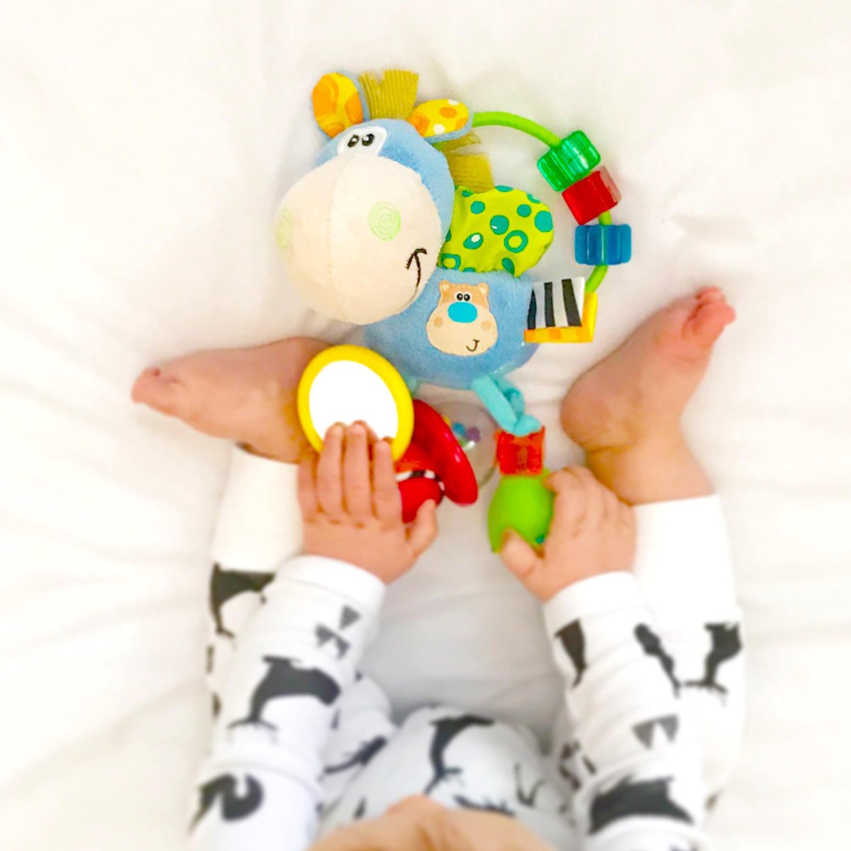 Playgro Clip Clop Rammelaar - Blauw - Activiteitenspeeltje -  Kraamkado — afbeelding 3
