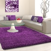 Tapis à poils longs - Life Purple 160x230cm