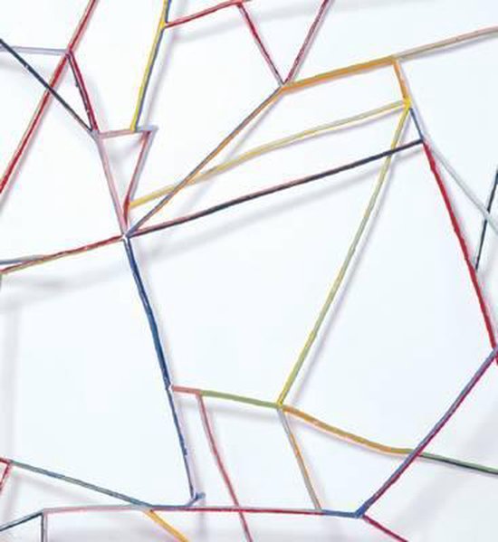 Charles Arnoldi - cover